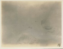 Image of Polar Bear Tracks